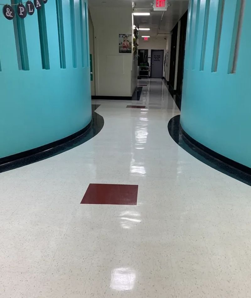 Professional Cleaning